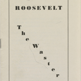 “Roosevelt the Waster”