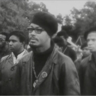 Investigation of the Black Panthers (video)