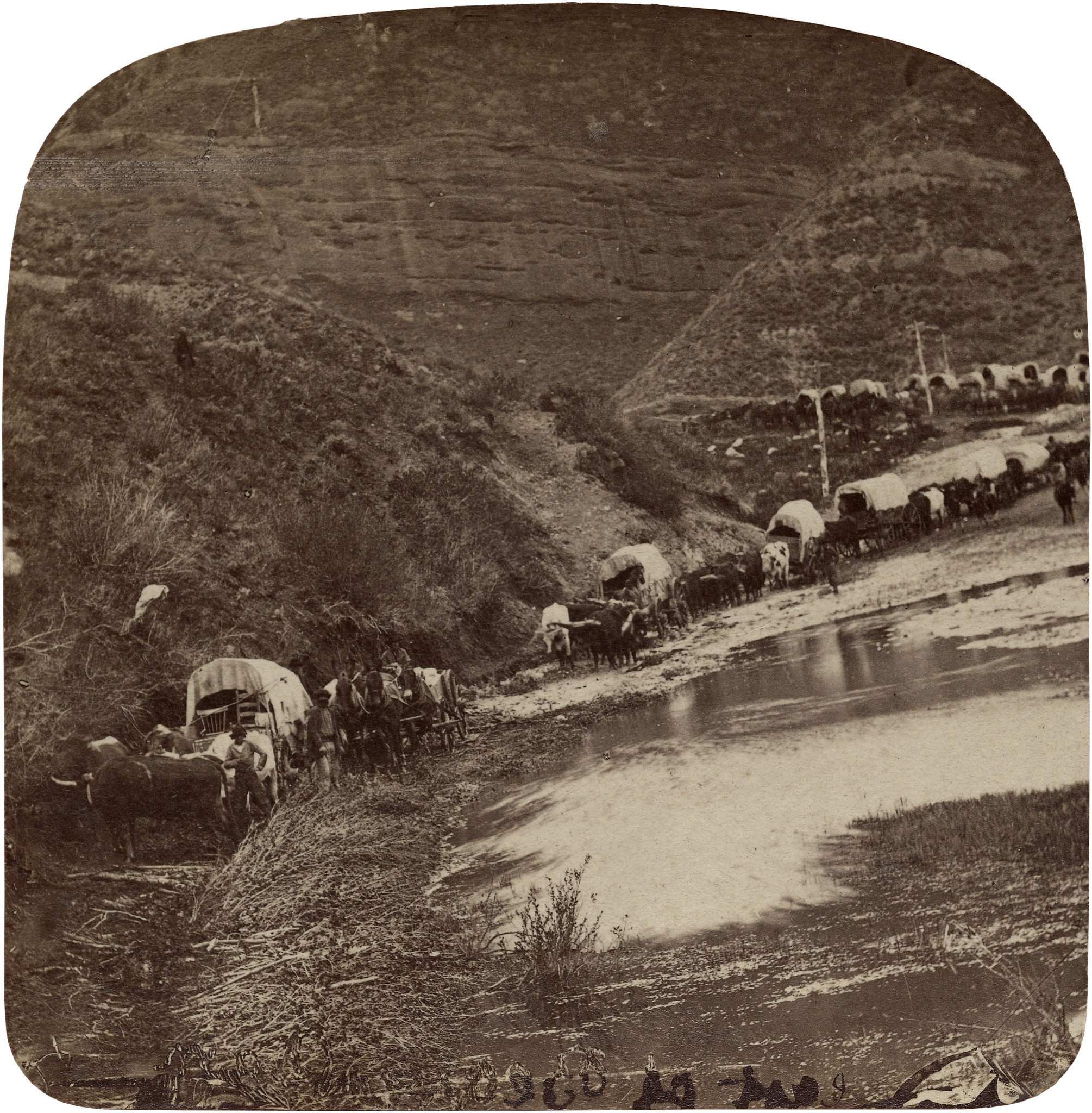 Mormon Covered Wagon Caravan