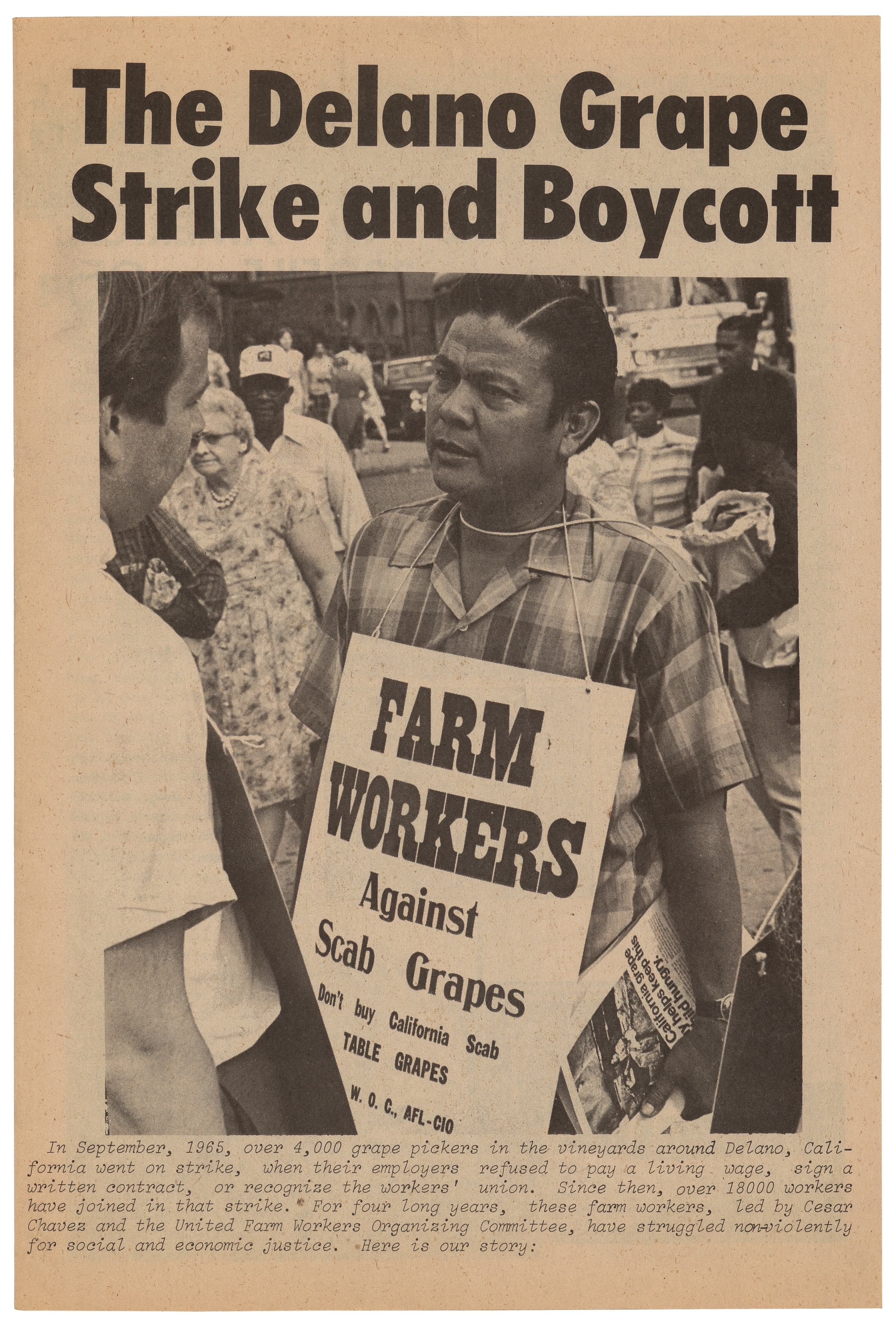 1972 United Farmworkers International Grape Boycott Pinback BOYCOTT GRAPES 